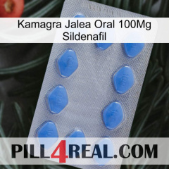 Kamagra Oral Jelly 100Mg Sildenafil 21